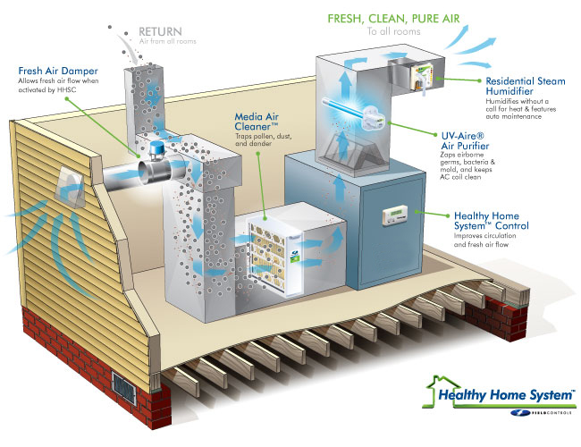 healthy home diagram large